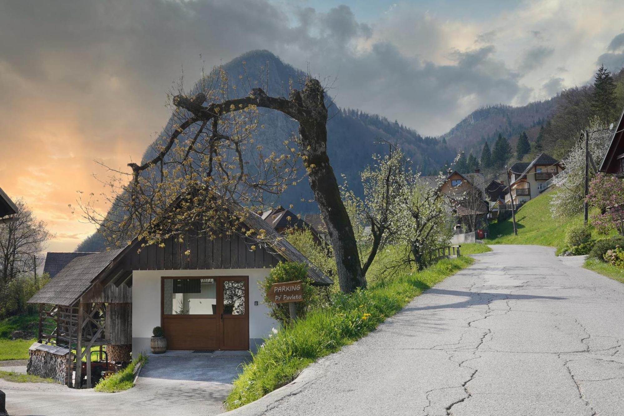 Apartments Pr' Pavleto Bohinj Exteriör bild