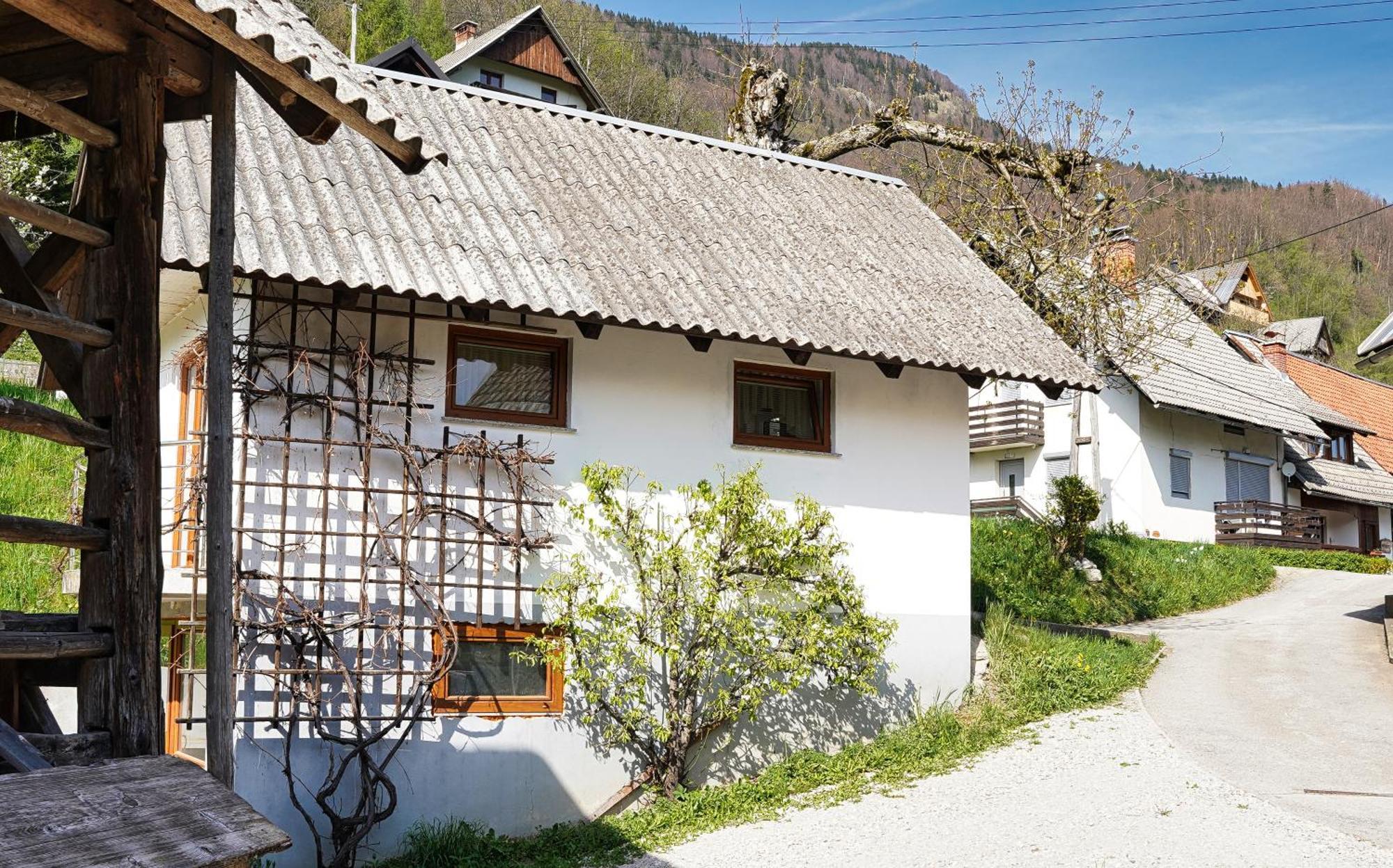 Apartments Pr' Pavleto Bohinj Exteriör bild